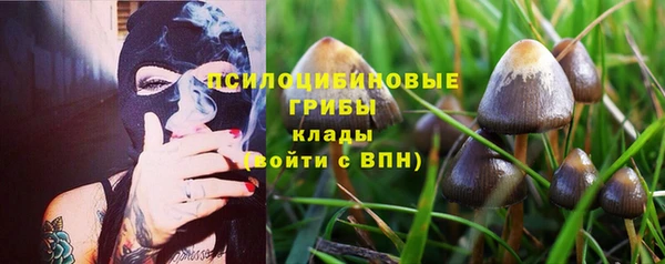 гашиш Абаза